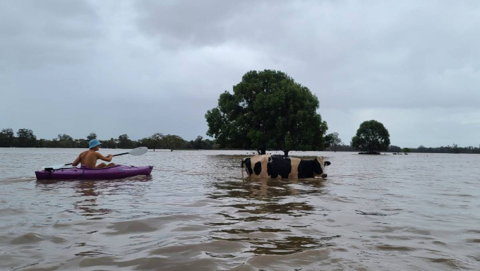 Thiệt hại do lũ lụt gây ra ở vùng duyên hải miền đông Australia chưa thể thống kê. Ảnh: BBC
