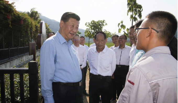 Giáo sư Viên Long Bình (giữa) và Chủ tịch Trung Quốc Tập Cận Bình thăm mô hình thử nghiệm lúa lai mới ở Tam Á, đảo Hải Nam hồi năm 2018. Ảnh: SCMP 