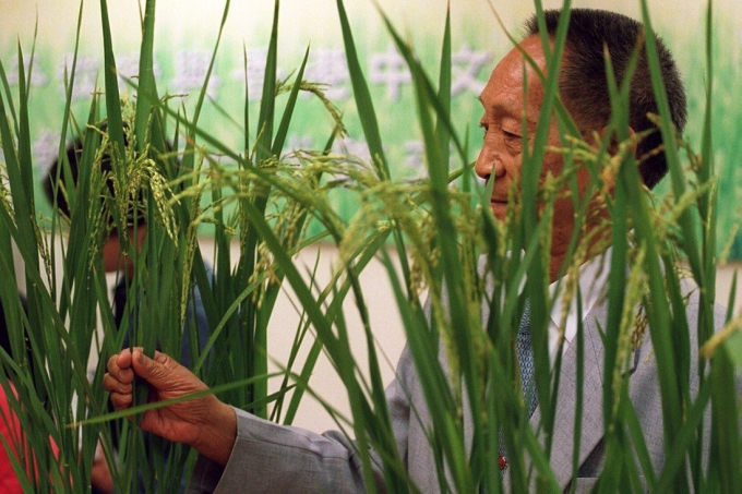 Chinese scientist Yuan Longping has did at the age of 90. Photo: Ricky Chung