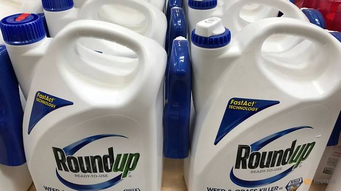 Monsanto Co's Roundup is shown for sale in Encinitas, California, on Jun 26, 2017. (Photo:  REUTERS/Mike Blake)