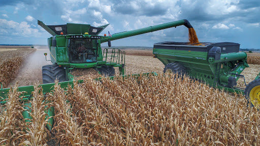 corn in Russia. 