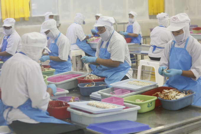 Workers process seafood at one of the country's seafood processing plants. The agri-food industry accounted for one-quarter of the Thai economy and employed almost half of the workforce in 2019 prior to the pandemic. Photo: Pattarapong Chatpattarasill