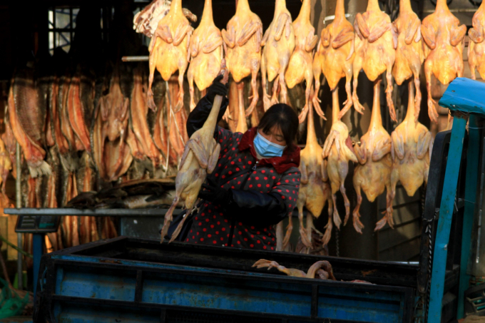 Salted chickens, ducks and fish for sale at a market in Huai an, Jiangsu province in China. Photo: Zhou Changuo/VCG