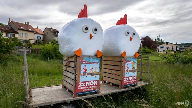 Farmers in the 'Yes' campaign say they have been the victims of insults, threats and intimidation. (Photo: AFP/Fabrice Coffrini)