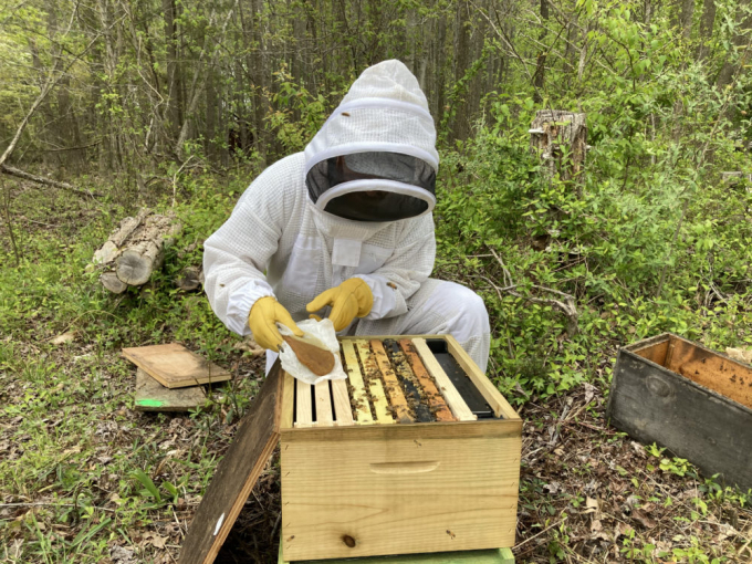 Beemmunity co-founder Abraham McCauley feeding bees a pesticide-immunity recipe.(Courtesy ofJames Webb)