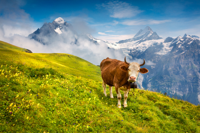 Thụy Sĩ được đánh giá là quốc gia vẫn duy trì được hệ tài nguyên thiên nhiên nguyên sơ. Ảnh: DW