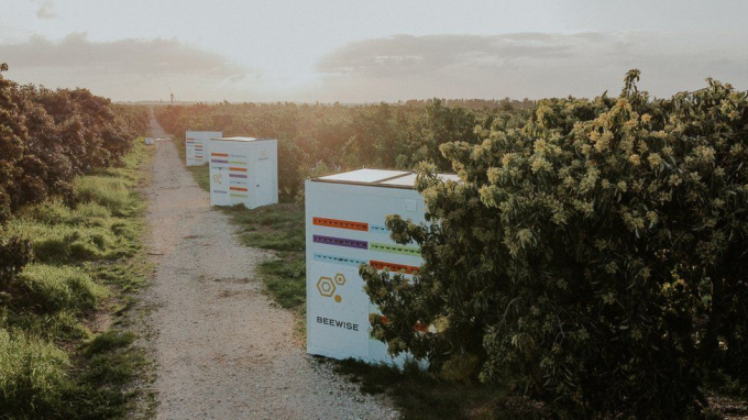 The Beehomes from Israeli firm Beewise can hold up to 24 hives