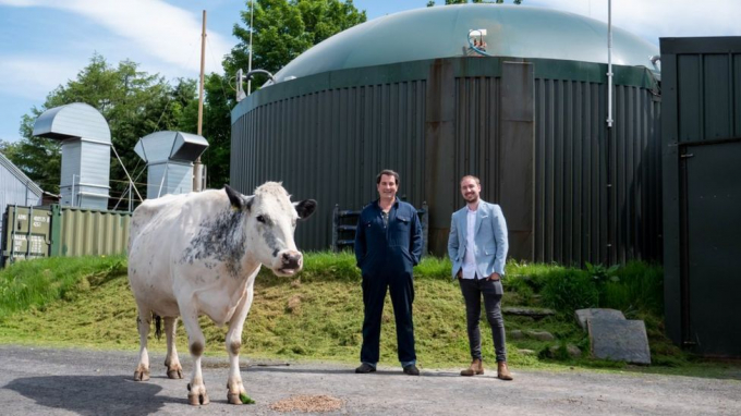 Crypto-mining farmer Philip Hughes (centre) and Josh Riddett, with one of their bovine colleagues