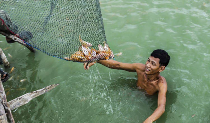 Cambodian fisheries will benefit from newly approved UN projects backed by $46,6 million in funding. Photo: Khmer Times 