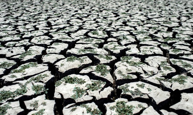 Dried area of the Penuelas Lake, in Valparaiso, Chile. Hunger, drought and disease will afflict tens of millions more people within decades, according to a draft UN assessment. Photograph: Martin Bernetti/AFP/Getty Images