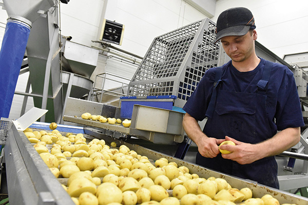 Dây chuyền sơ chế khoai tây tại châu Âu. Ảnh: Weltec