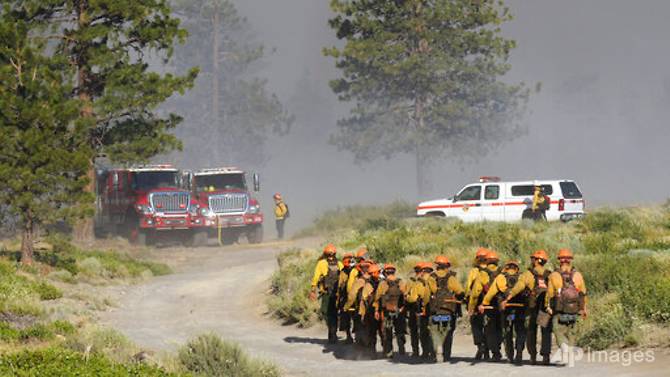 1.300 lính cứu hỏa được huy động dập cháy rừng ở bang California. Ảnh: AP