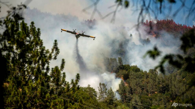 Máy bay trực thăng phun nước chữa cháy rừng. Ảnh: AP