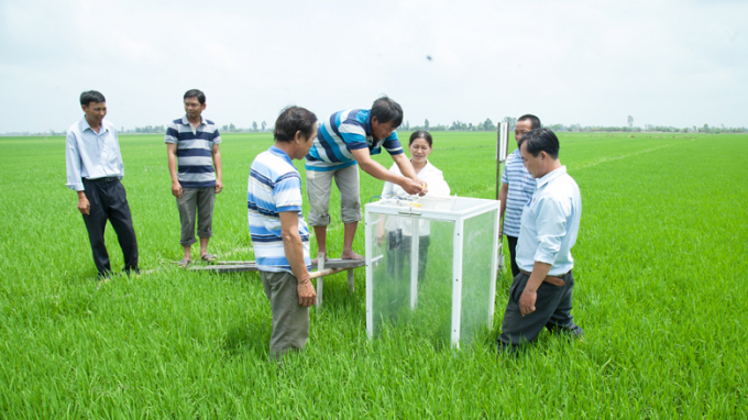 Farmers in Can Tho measure greenhouse gas emissions in their rice field with support from a local farming expert. Photo: World Bank