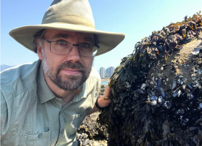 Harley has been tracking mussels and other sea creatures in the aftermath of the heat wave that hit the Pacific Northwest. Photo: University of British Columbia