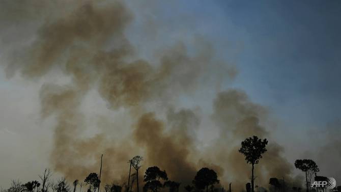 This file photo taken on August 16, 2020, shows a burnt area of Amazon rainforest reserve in Para, Brazil. Photo: AFP