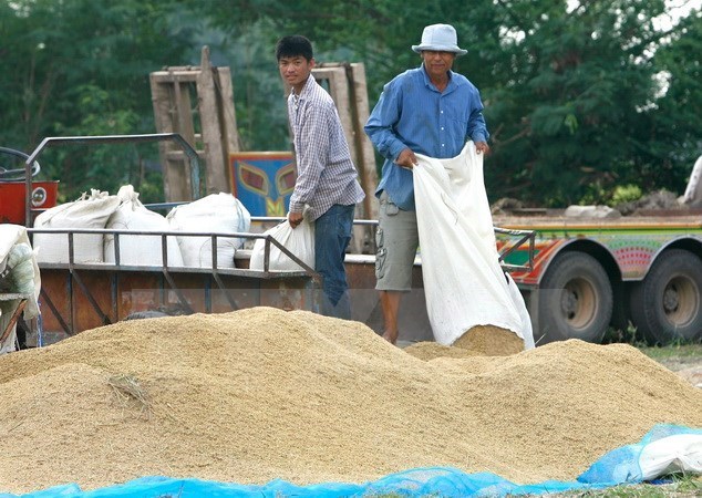 Giá cước vận chuyển tăng do đứt gãy chuỗi cung ứng đã ảnh hưởng đến chi phí xuất khẩu gạo của Thái Lan. Ảnh: Getty