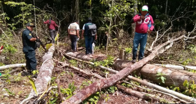 Community leaders are joined by environmental enforcement agents to investigate an illegal rainforest clearing on their territory. Photo: BBC