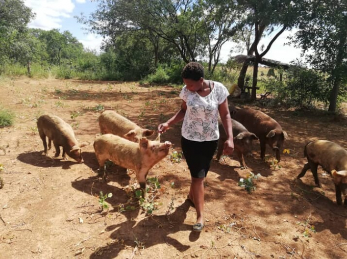 Pride Dzirutsa and her pig-farm. Photo: The Pigsite