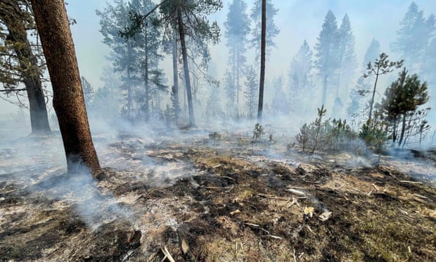 A smoldering fireline image from the Bootleg Fire on Saturday near Klamath Falls, Oregon. Photo: US Forest Service/AFP