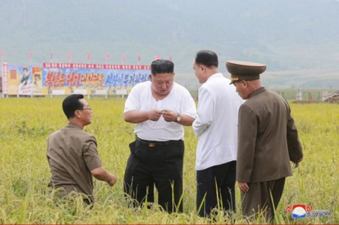  Nhà lãnh đạo Triều Tiên Kim Jong-un kiểm tra lúa bị thiệt hại do lũ lụt ở tỉnh Bắc Hwanghae hồi tháng 9/2020. Ảnh: KCNA