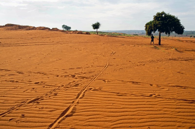 ropland is covered by sand in Betsimeda, Maroalomainty commune, Ambovombe district, Madagascar May 2, 2021. Photo: Reuters