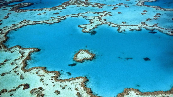 Heart Reef, Great Barrier Reef, Australia. Photo: ERN  