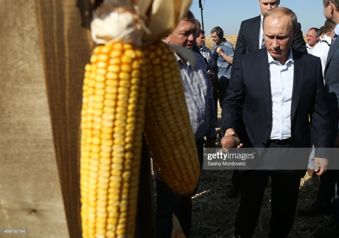 Tổng thống Nga Vladimir Putin gặp gỡ nông dân trồng ngô ở Semikarakorsk hồi năm 2015. Ảnh: Getty