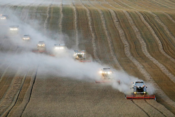 Combines harvest wheat in a field near the village of Suvorovskaya in Stavropol Region, Russia July 17, 2021. Photo: Reuters