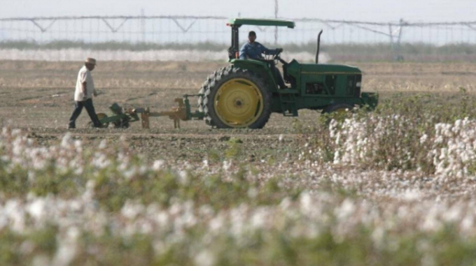 Farmers in the agriculture-rich central San Joaquin Valley _ Fresno, Kings, Madera, Merced and Tulare counties _ are among the top producers in the nation. Photo: JW