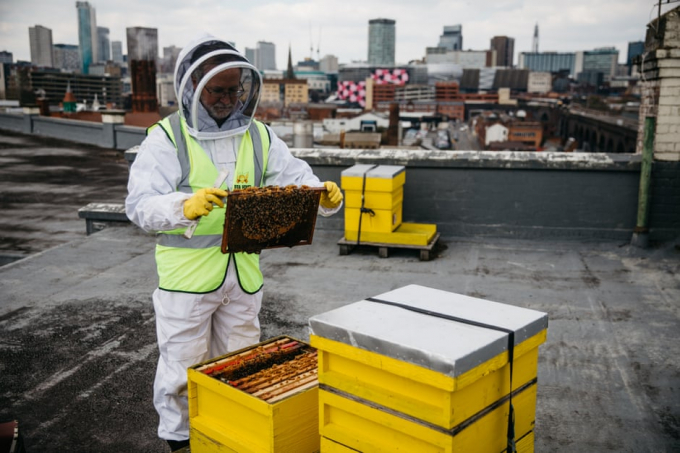 Tim Vivian inspects the beehives he keeps on top of the Custard Factory roof in Birmingham. Photo: Alexander Turner