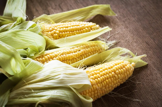 Fresh corn on the cob. Photo: Getty