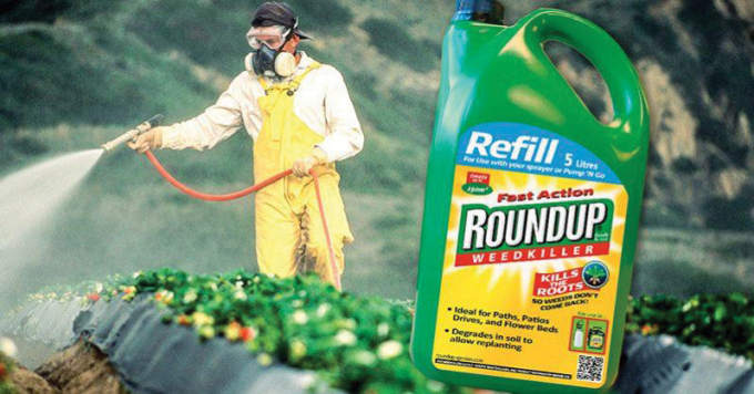 Glyphosate là một loại thuốc diệt cỏ dùng để ức chế sự phát triển của thực vật trên diện rộng. Ảnh: Getty