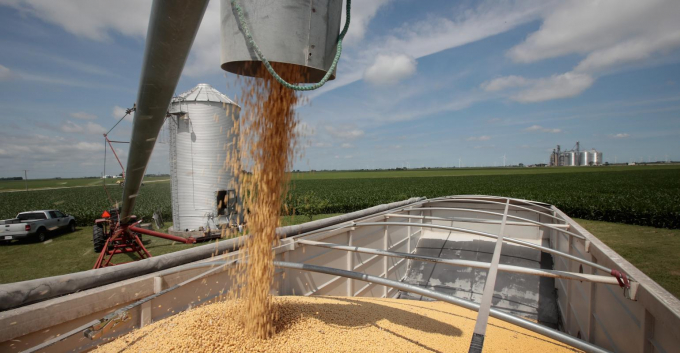 Corn, soybean markets waiting for a reason to give up, just like someone treading water in the ocean. Photo: Farm Progress