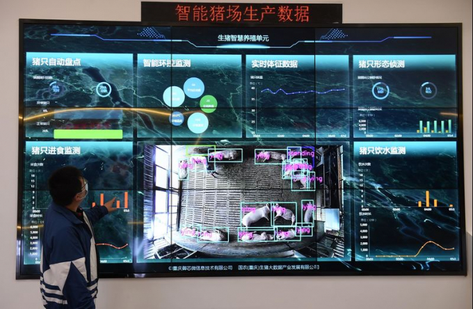 A real-time display screen at a smart pig farm at National Hog Big Data Center in Chongqing, China in 2020. Photo: Getty Images