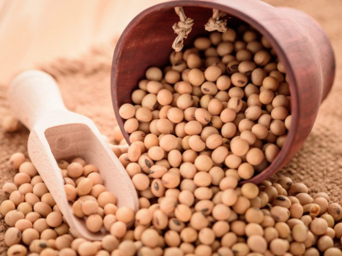 Soybeans are the most popular type of legume. Photo: Shutterstock