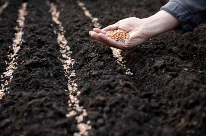 Sowing seeds. Photo: Byjus.com