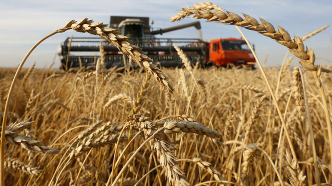 Russia is the world's largest wheat exporter, with 20 percent of the world's wheat trade. Combine harvesters that can drive themselves using technology from Russian company Cognitive Pilot are helping to make the harvesting process faster and more efficient. Photo: RBT