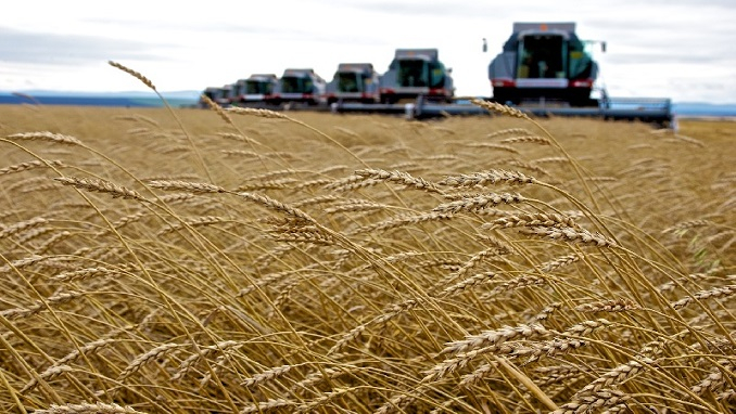 Russia is the world's largest wheat exporter, with 20 percent of the world's wheat trade. Combine harvesters that can drive themselves using technology from Russian company Cognitive Pilot are helping to make the harvesting process faster and more efficient. Photo: RT