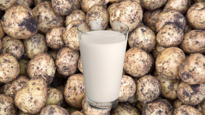 Potato milk is the new dairy alternative on the block. Photo: Canva