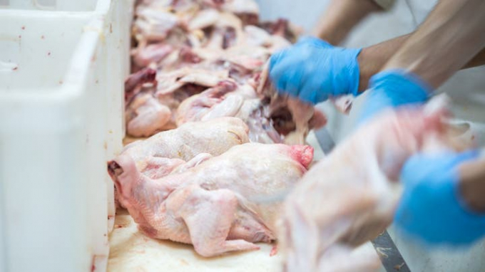 Two of the industry's biggest poultry companies have agreed to pay nearly $35 million to settle a lawsuit that accused them and several other firms of conspiring to dominate the industry and fix the prices paid to farmers who raise the chickens. Photo: iStock