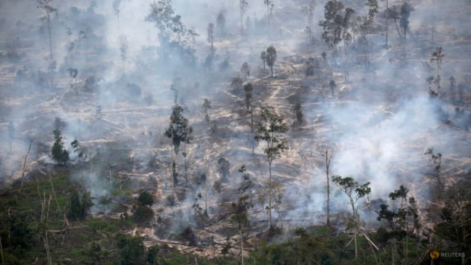 Khói bụi mù mịt gây ra từ đám cháy rừng ở khu Palangka Raya, tỉnh Trung Kalimantan, Indonesia vào ngày 30 tháng 9 năm 2019. Ảnh: Reuters