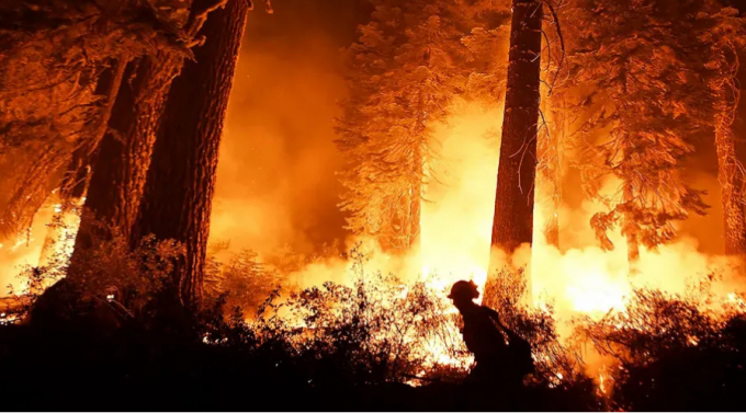 Cal firefighter Travis Moore lights a backfire along highway 50 as the Caldor Fire burns near Lake Tahoe, CA on Tuesday August 31, 2021. Photo: Getty