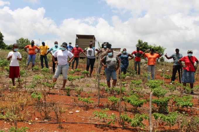 The farmer field schools have given farmers the techniques and training to extend their production cycles and increase crop production, especially for nutritious foods like fruits and vegetables. Photo: FAO