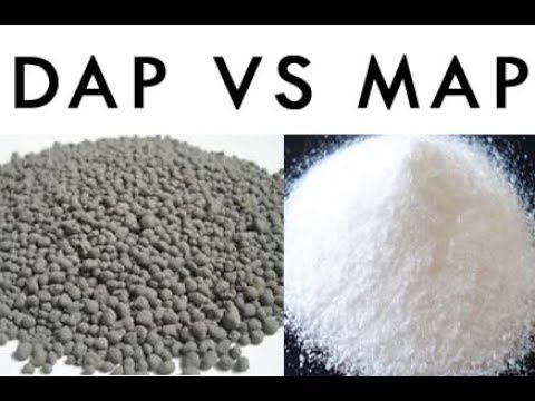 Both MAP and DAP fertilizers increased sharply in price.