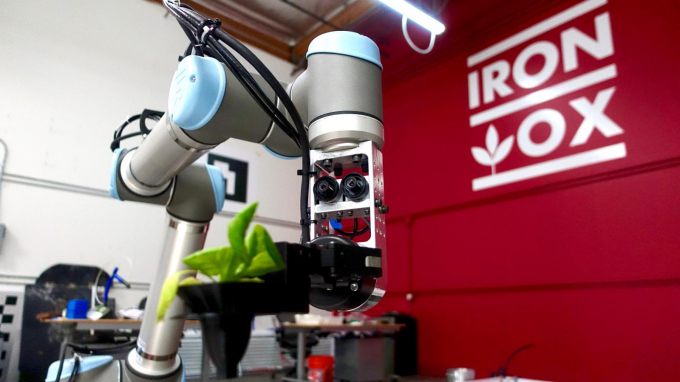 Cận cảnh một robot nông nghiệp của Iron Ox đang theo dõi sự phát triển của cây rau diếp được trồng theo phương pháp thủy canh. Ảnh: Quazt