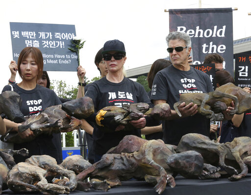Nữ diễn viên Mỹ Kim Basinger (giữa) tham gia cuộc biểu tình phản đối việc ăn thịt chó ngay trước trụ sở Quốc hội Hàn Quốc ở thủ đô Seoul, hôm 12 tháng 7 năm 2019. Ảnh:  AP 