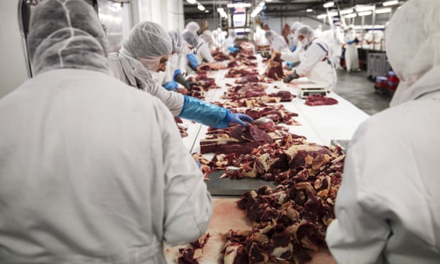 A slaughterhouse in Romania. Labour inspections have collapsed across Europe in the past decade due to austerity measures. Photo: Ibl