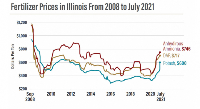 Giá các loại phân bón tại bang Illinois từ năm 2008 đến tháng 7/2021 (đơn vị USD/tấn). Nguồn: USDA