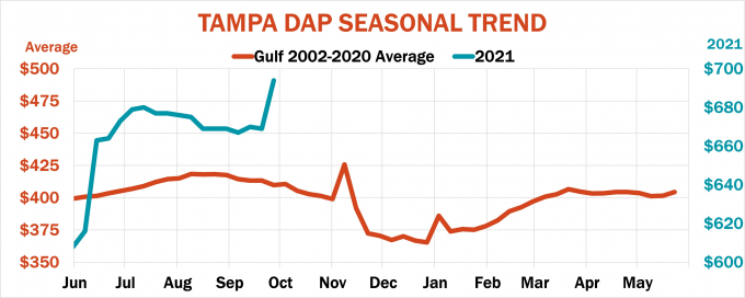 The chart depicting the seasonal fluctuation in DAP fertilizer prices (recently updated). Photo: FP.
